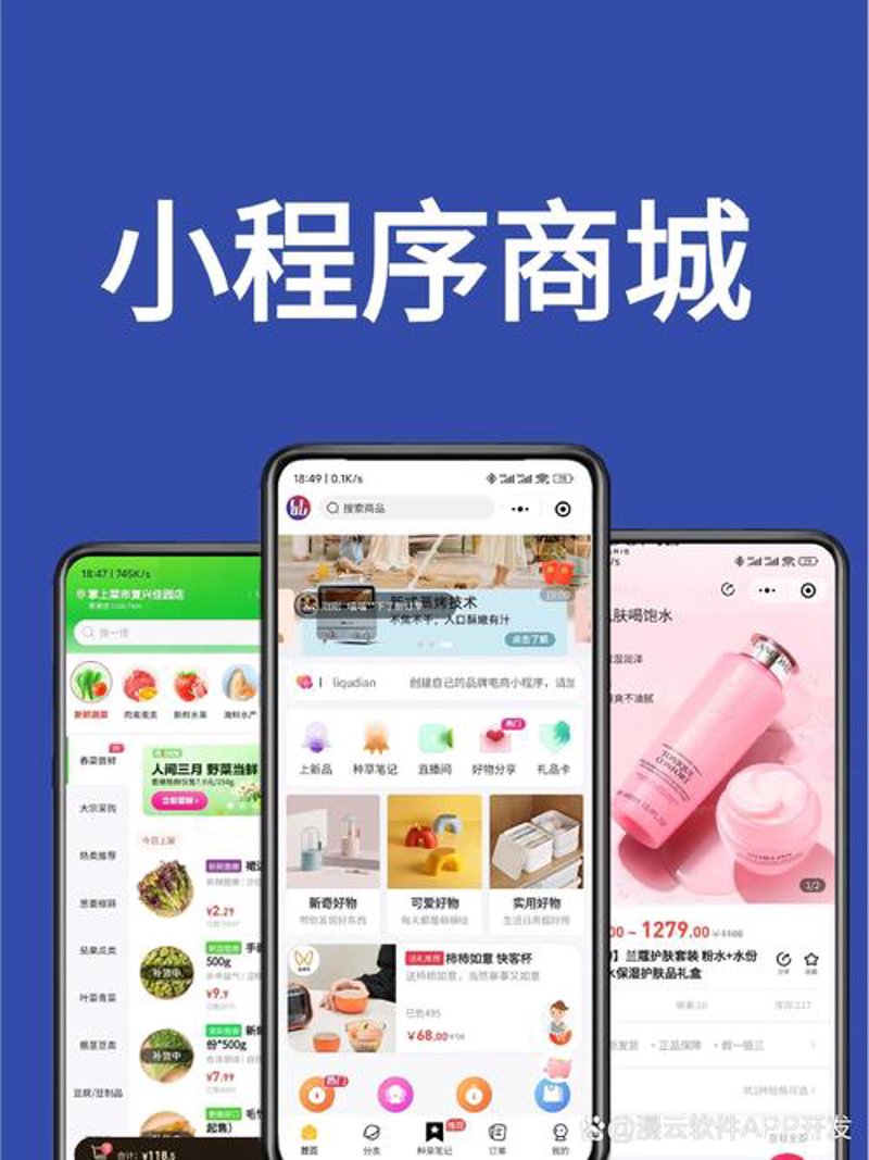 海南软件开发